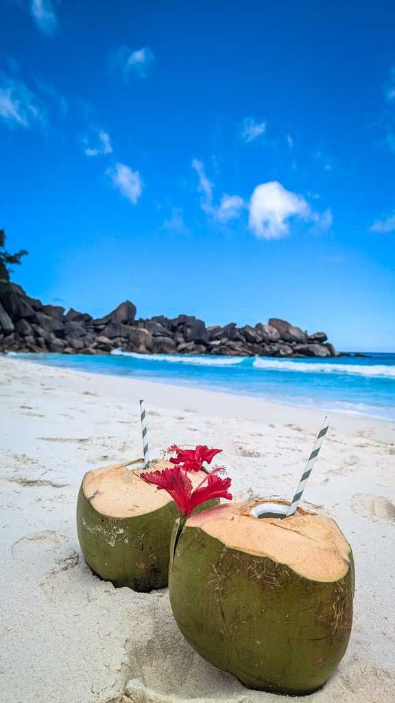 Zwei Kokosnüsse am Strand Grand Anse auf La Digue auf den Seychellen